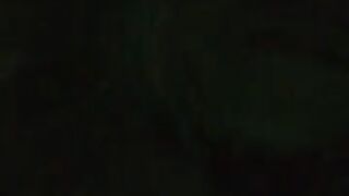 Fun for a day (Video 185)