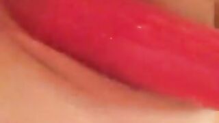 Fun for a day (Video 91)