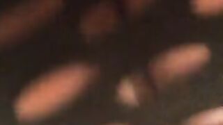 Fun for a day (Video 85)