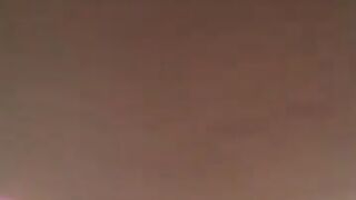 Fun for a day (Video 74)