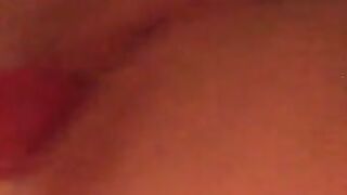 Fun for a day (Video 54)