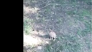 F228B002-242A-40AF-8A83-E3613440574E