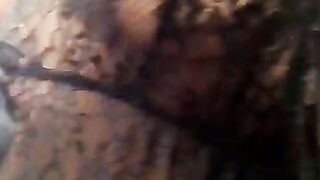 sweet tea OF (Video 31)