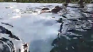 Ana's Snapchat (Video 240)