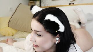 Siouxsie - Playful Kitten Wants to Play With You