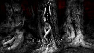 TBrush Nazryana Nazryana Queensnake Studio