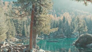 DaringKiara_Wild Cat Public Anal Play