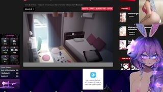 cottontailva - live stream