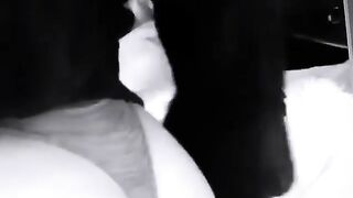 Angelina (Video 5)