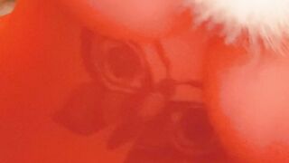 Paid Content (Video 3)