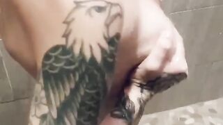 Entire Collection (Video 32)