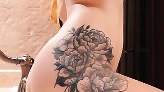 Entire Collection (Video 16)